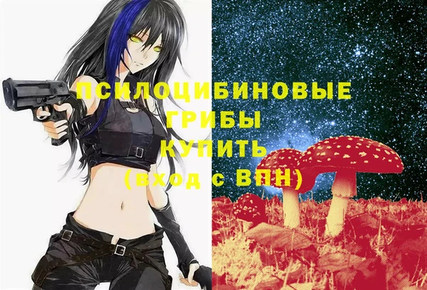 ALPHA-PVP Дмитриев